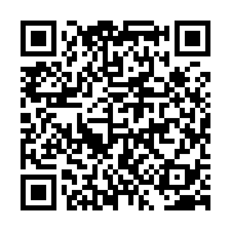 QR code for DS9939