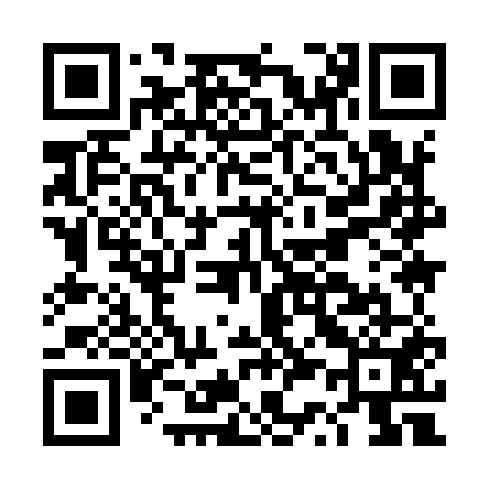 QR code for DS9951