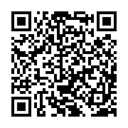 QR code for DT0593