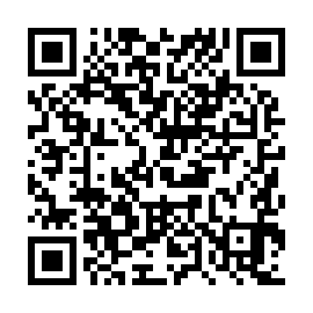 QR code for DT0991