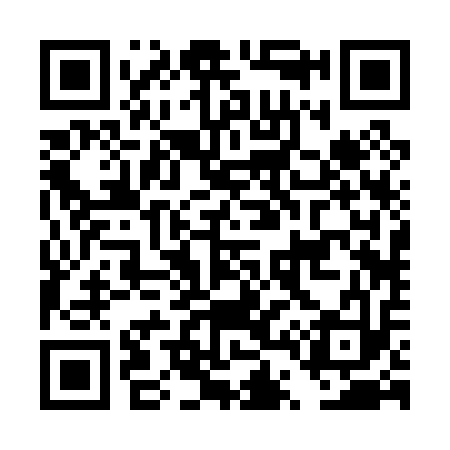 QR code for DT2013