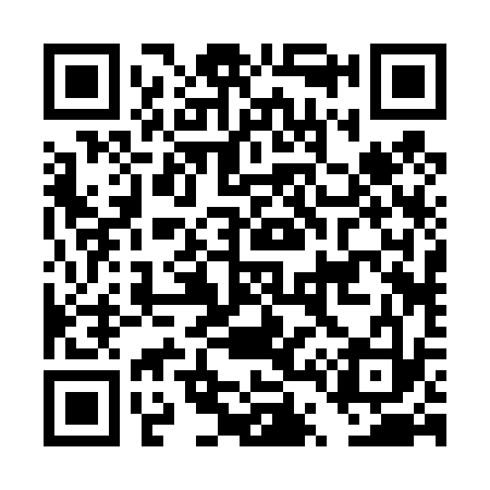 QR code for DT2433