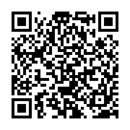 QR code for DT3117