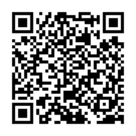 QR code for DT3668