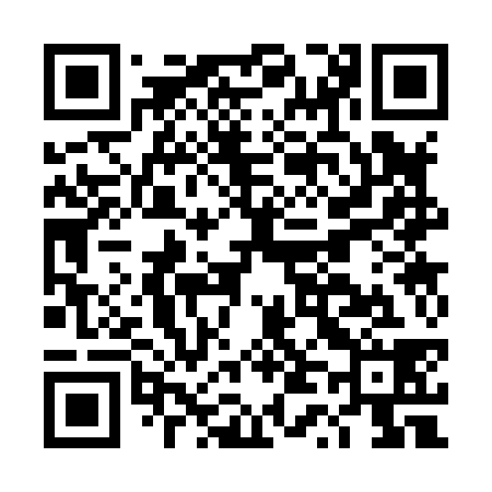 QR code for DT3838