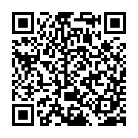 QR code for DT3941