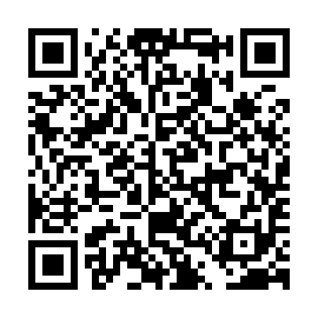 QR code for DT3991