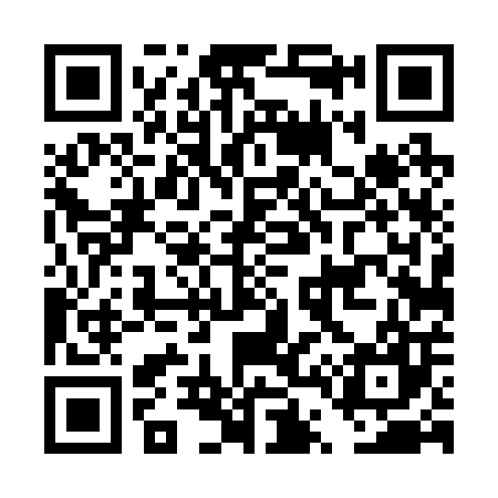 QR code for DT4207