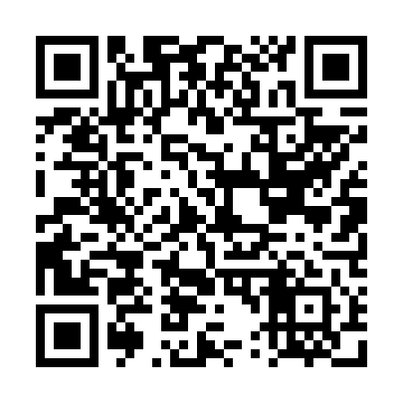 QR code for DT4641