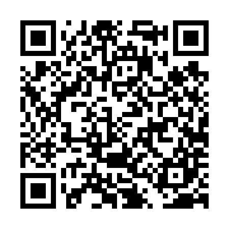 QR code for DT4687