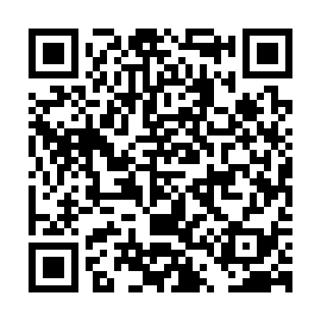 QR code for DT5339