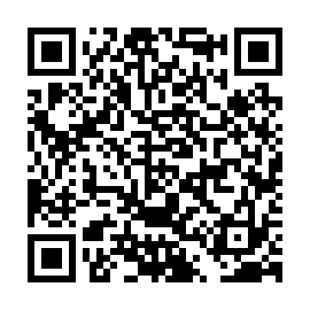 QR code for DT6233
