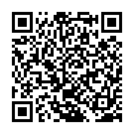 QR code for DT6513
