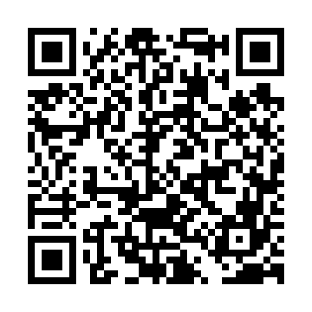 QR code for DT6666