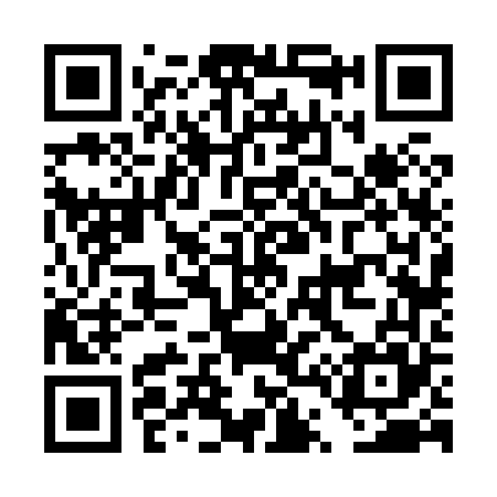 QR code for DT6865
