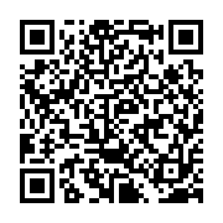 QR code for DT7313