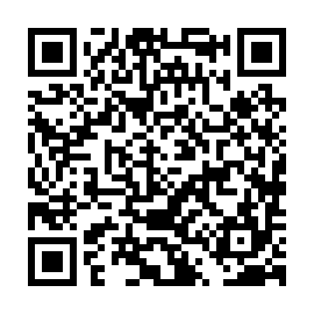 QR code for DT8294