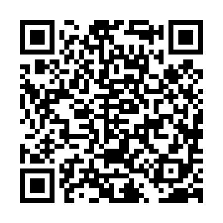 QR code for DT8498