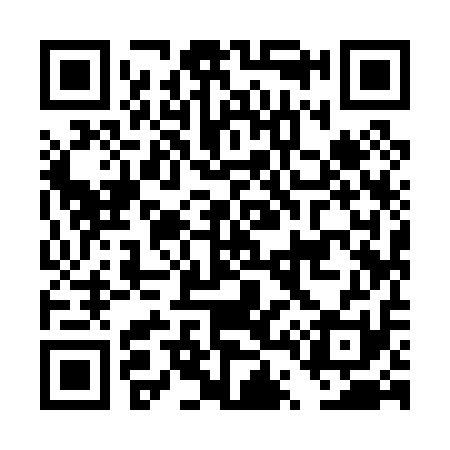 QR code for DT9011