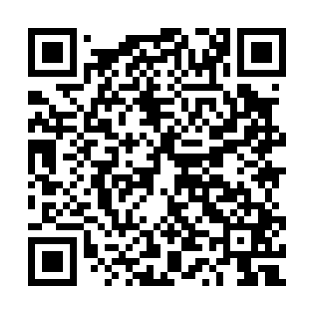 QR code for DT9041