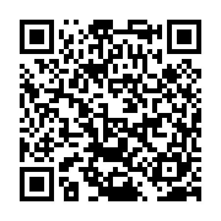QR code for DT9065