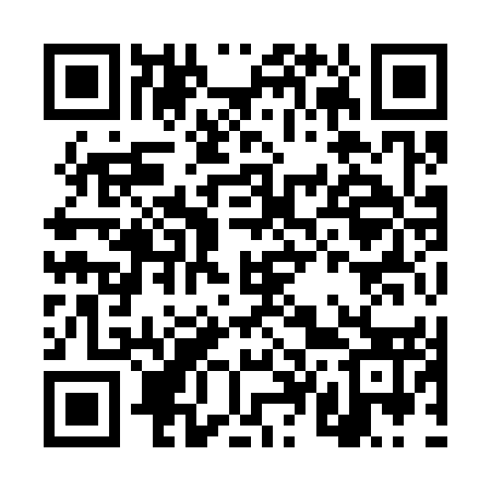 QR code for DT9353
