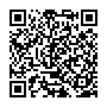 QR code for DT9501
