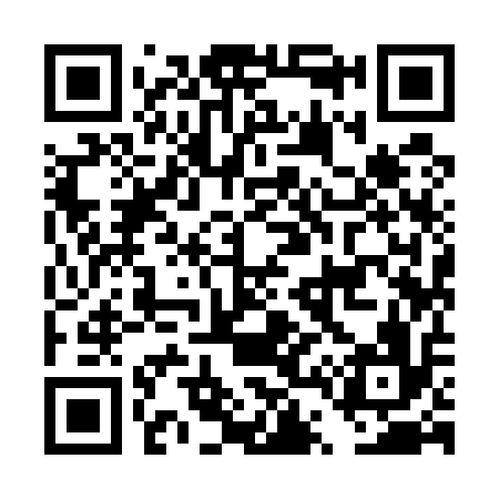 QR code for DT9516