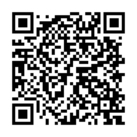 QR code for DT9545