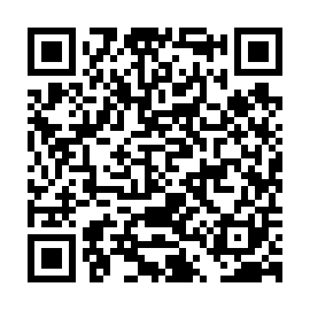 QR code for DT9601