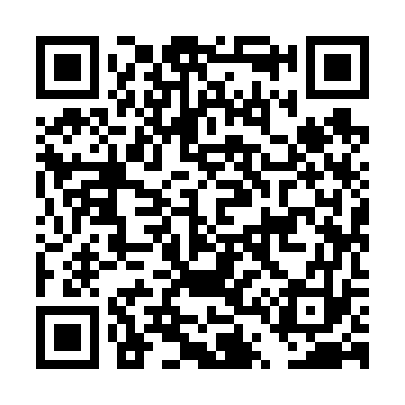 QR code for DT9673