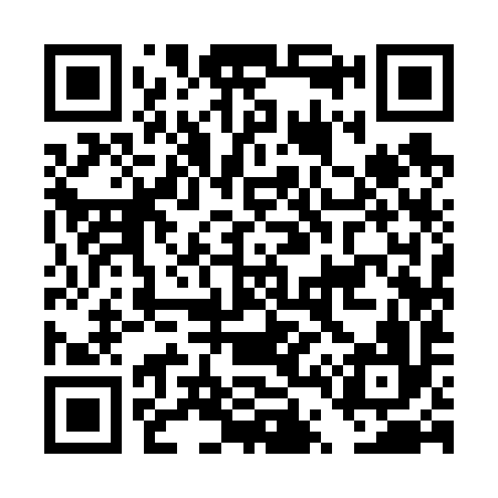 QR code for DT9696