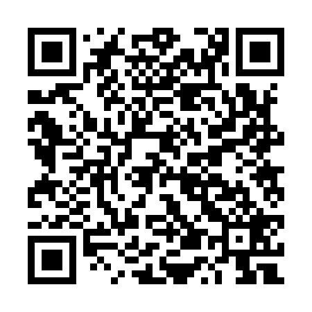 QR code for DU2929
