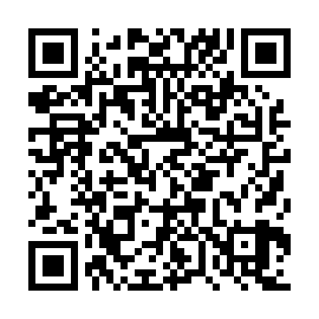 QR code for DV0029