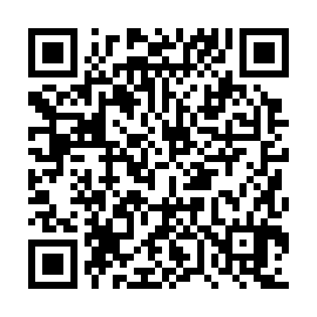 QR code for DV0384