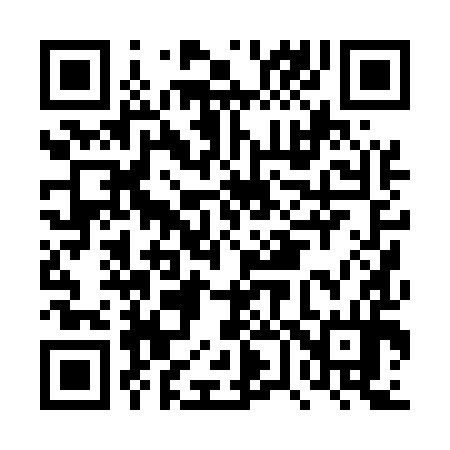 QR code for DV0594