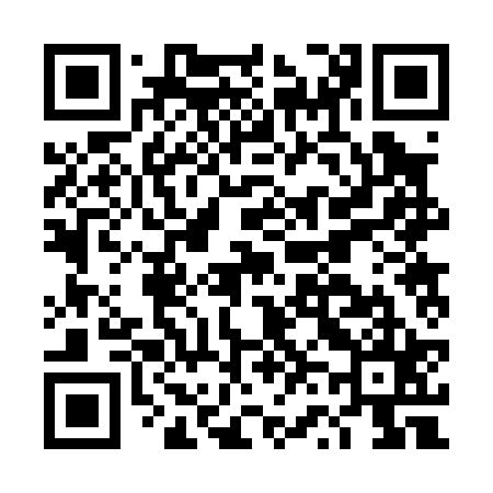 QR code for DV2025