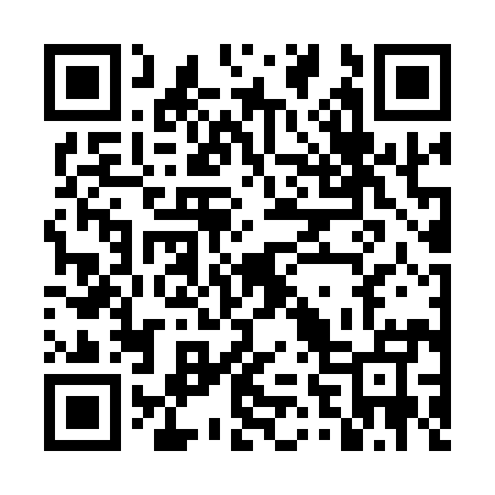 QR code for DV2195