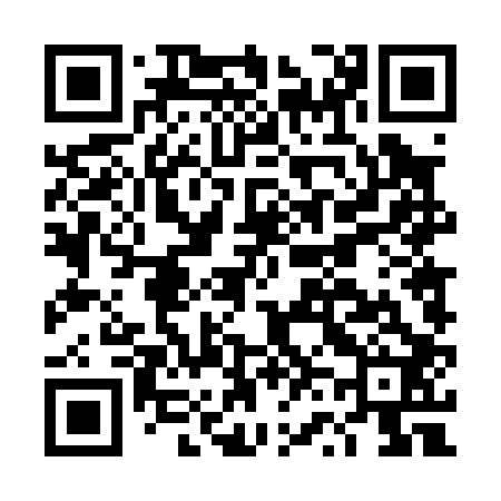 QR code for DV4002
