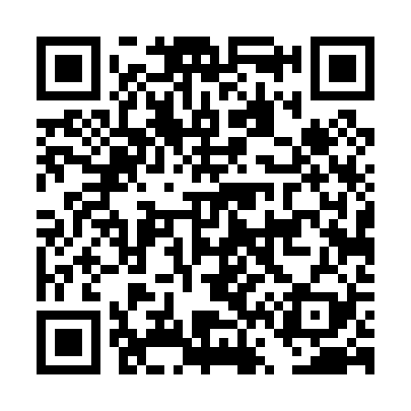 QR code for DV4029