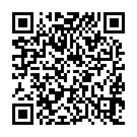 QR code for DV6993