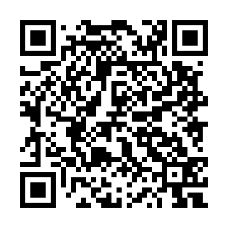QR code for DV8533