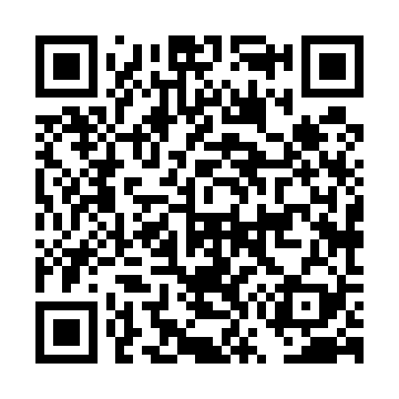 QR code for DW8529