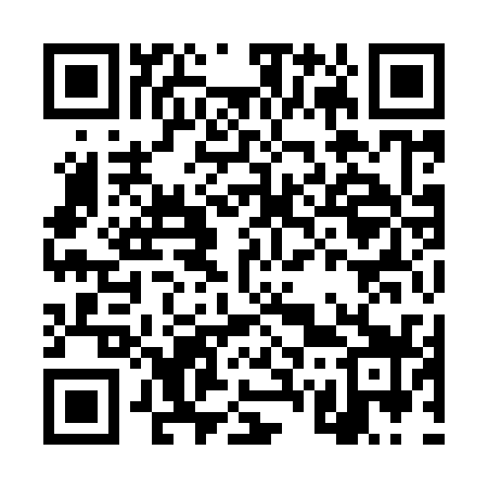 QR code for DW9939