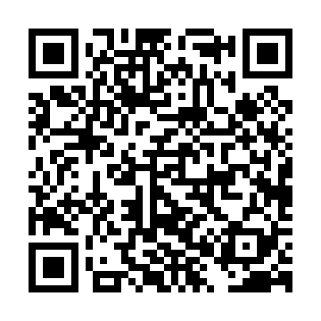 QR code for DX0029