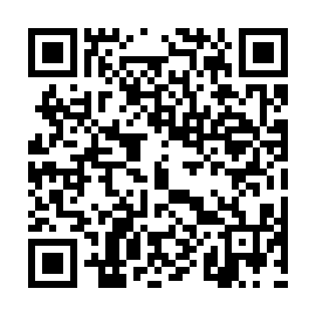 QR code for DX0314
