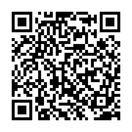 QR code for DX3173