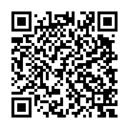 QR code for DX4419