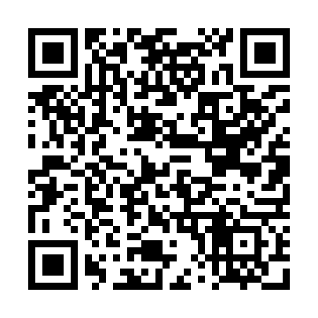 QR code for DX4963