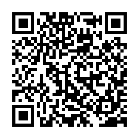 QR code for DX6294